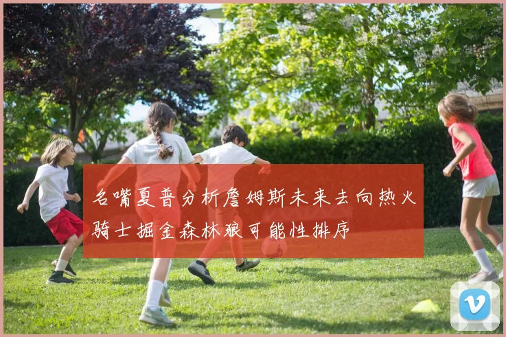 名嘴夏普分析詹姆斯未来去向热火骑士掘金森林狼可能性排序